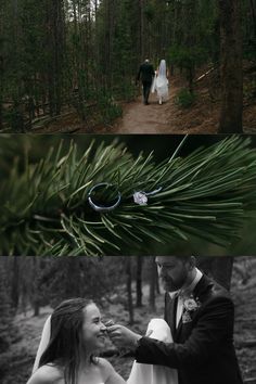 Northwest Wyoming is home to the one and only, Yellowstone National Park! Possibly most unique place a couple could choose to elope. After getting engaged on the shores of Yellowstone Lake, Jaime and Cody decided it would be the perfect place for their intimate National Park wedding. They invited their family and closest friends to come celebrate with them, and celebrate they did!

View this adventurous elopement in Yellowstone National Park! Yellowstone Elopement, Yellowstone National Park Photography, Yellowstone Lake, Adventurous Elopement, Forest Elopement, National Parks Photography, National Park Elopement, Unique Place, Island Park