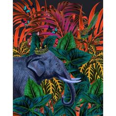 Tropical Jungle by Erika C. Brothers-VARPDXB4162D Image 1 Jungle Art, Mexican Artists, Jungle Print, Tree Canvas, Canvas Art Wall Decor, Fine Arts Posters, Giclee Art, Canvas Pictures, Framed Canvas Art