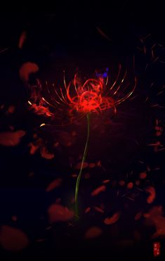 a flower that is in the dark with red and blue light coming from behind it