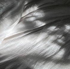 shadows cast on the white sheets of an unmade bed