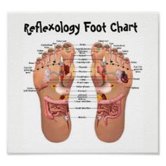 foot reflexology 8x7" poster | Zazzle.com