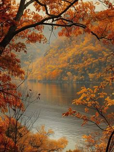 an autumn scene with trees and the water in the foreground, surrounded by yellow foliage