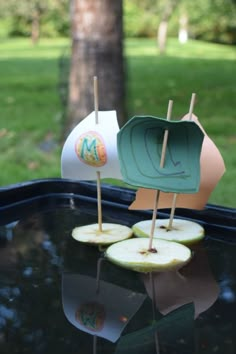 an apple boat is sitting on the hood of a car with apples cut in half