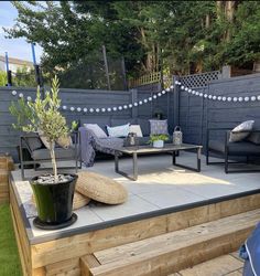 an outdoor living area with wooden decking and plants on the table, potted olive tree in black planter