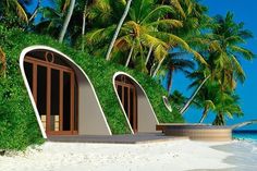 an unusual house on the beach with palm trees