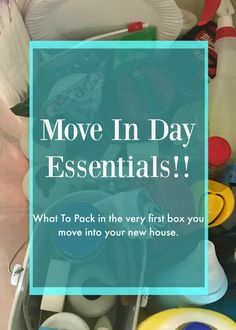 the words move in day essentials on top of a pile of plastic bottles and containers