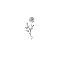 Small Daisy Tattoo, Daisy Tattoo Designs, Daisy Flower Tattoos, Flor Tattoo, Tiny Wrist Tattoos, Magic Runes, Minimal Tattoos, Bts Tattoos, Daisy Tattoo