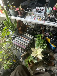 there are many plants and dvds on the desk