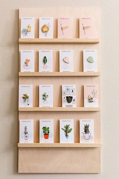 a wooden shelf with several cards and plants on it