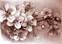 a drawing of some flowers on a white background