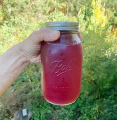 a hand holding a mason jar filled with red liquid in front of trees and bushes