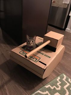 a cat sitting in a cardboard box with a baseball bat