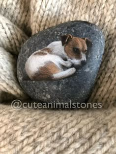 a brown and white dog laying on top of a rock