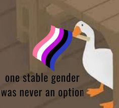 a white goose with a pink, blue, and purple ribbon on its head standing in front of a door