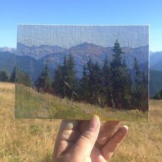 a hand holding up a piece of wood with mountains in the background and grass below