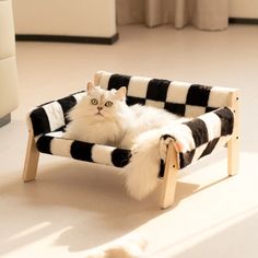 a white cat laying in a black and white checkered pet bed