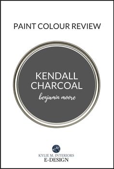 the front cover of paint color review book, featuring black and white circles with text that reads