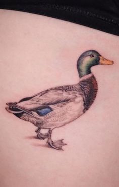 a duck tattoo on the side of a woman's stomach is shown in this image