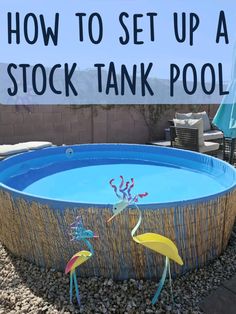 an above ground pool with two yellow and blue flamingos in it, next to a sign that says how to set up a stock tank pool