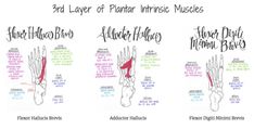 four different types of hands and feet with the names of each hand on one side