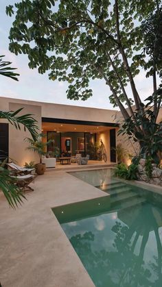 an outdoor swimming pool surrounded by greenery and trees in front of a modern home