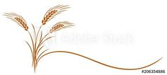 an image of wheat on white background