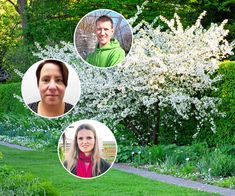 three people are shown in the middle of a garden with white flowers and green grass