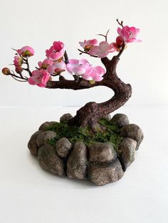 a bonsai tree with pink flowers on rocks