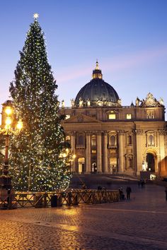 a large christmas tree in front of a building with lights on it's sides