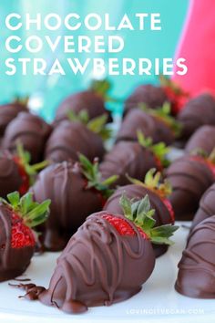 chocolate covered strawberries sit on a white plate