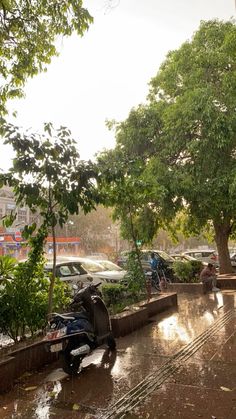 people sitting on benches under trees in the rain