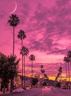 palm trees line the street in front of a pink sky with a crescent on it