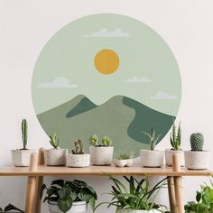 there are many potted plants in front of a wall with the sun on it