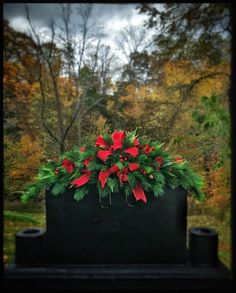 a black box with red and green flowers on it in front of some fall trees