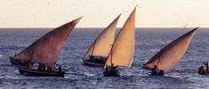 Salt Air, Sailboats, The Last Airbender, Larp, Under The Sea, Sailing Ships, Dream Life