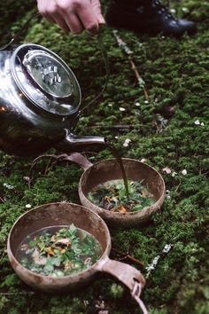 a person is pouring water into two bowls on the ground with moss growing around them