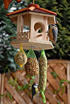 a bird house hanging from the side of a tree with three seed bags attached to it