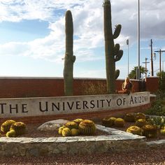 the university of arizona sign is surrounded by cactus