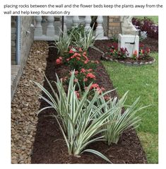 a garden with flowers and plants in it