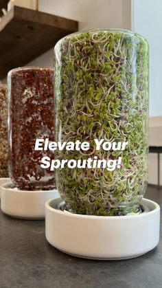 three jars filled with different types of sprouts