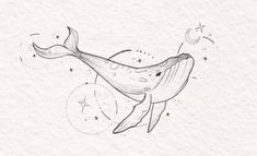 a black and white drawing of a whale with stars on it's back side