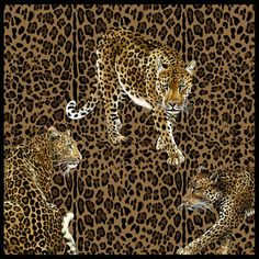 two leopards walking across a brown and black animal print fabric with white stripes on it's sides