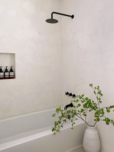 a white vase with some green plants in it next to a bathtub and shower head