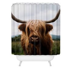 a brown cow with long horns standing in front of a white shower curtain and looking at the camera