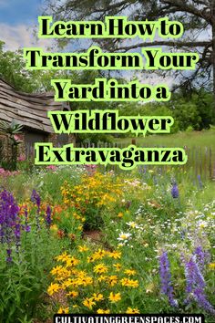 wildflowers in the foreground with text overlay that reads learn how to transform your yard into a wildflower extraganza