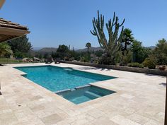 an empty swimming pool surrounded by cactus trees