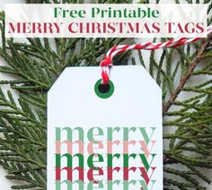 a printable merry christmas tag hanging from a pine tree with the text free printable