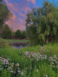 a pond surrounded by lush green trees and white flowers