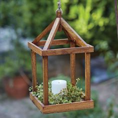 a small wooden lantern hanging from a tree with a candle in it and plants growing inside