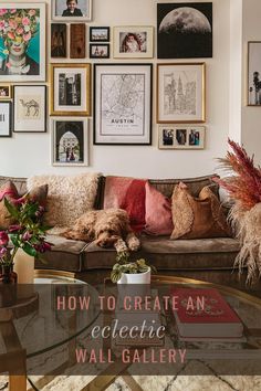 a living room with pictures on the wall and a dog laying on the couch in front of it